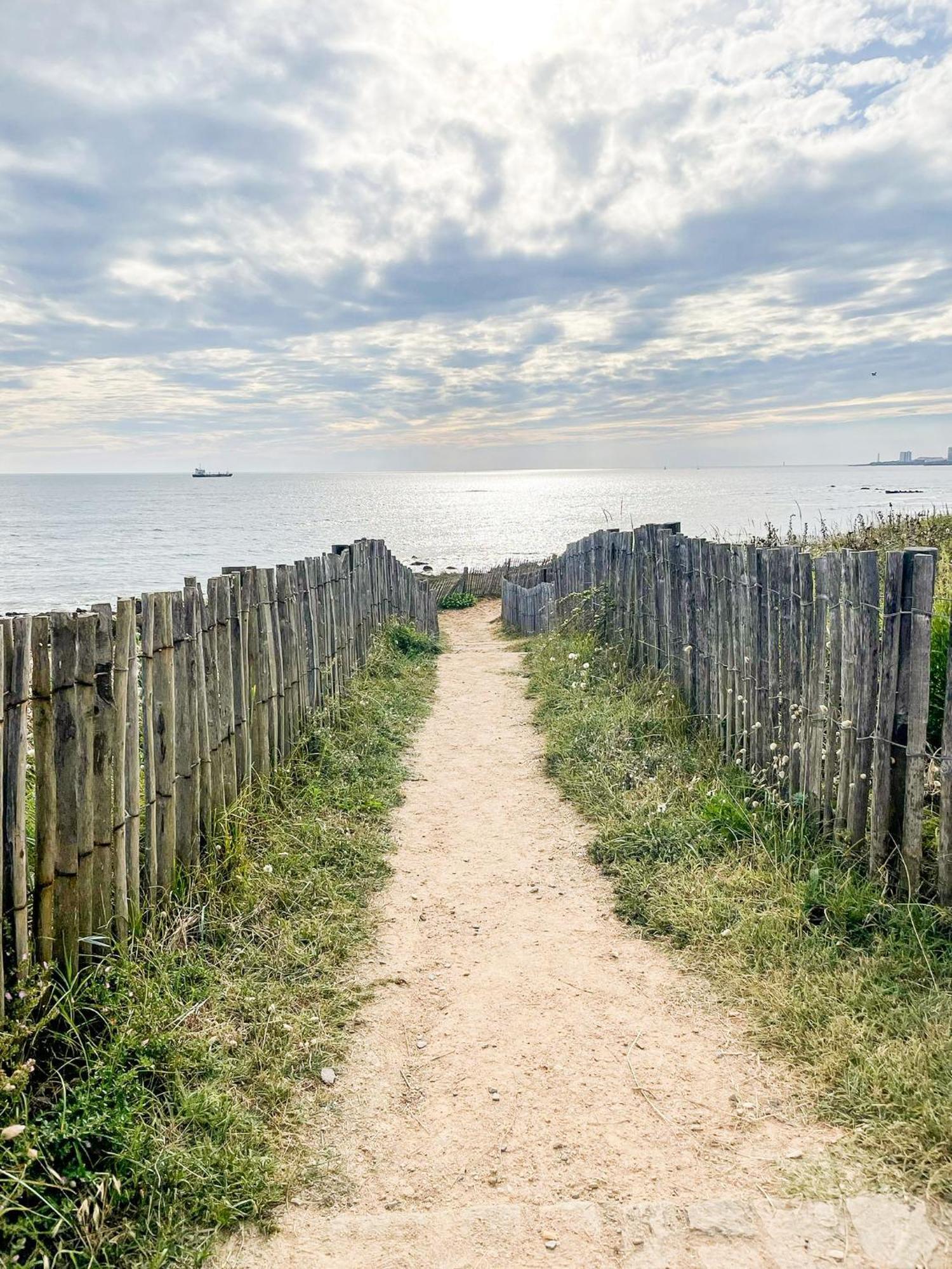 A L'ombre Des Pins, Neuf, Elegant, Parking Gratuit, Netflix, Au Calme A 100m De L'ocean *